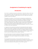 promotion stratagy.pdf